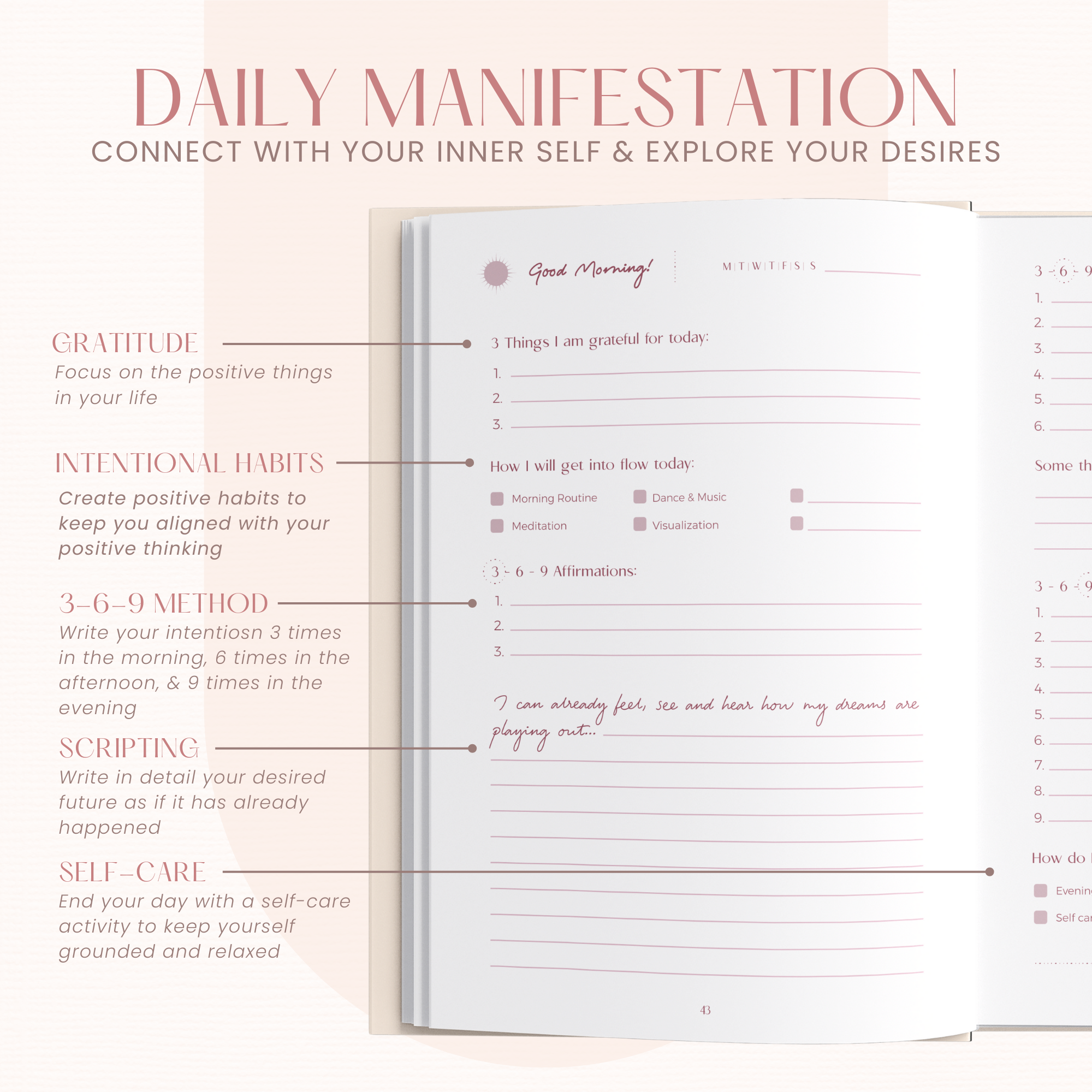 Manifestation Journal - Pink