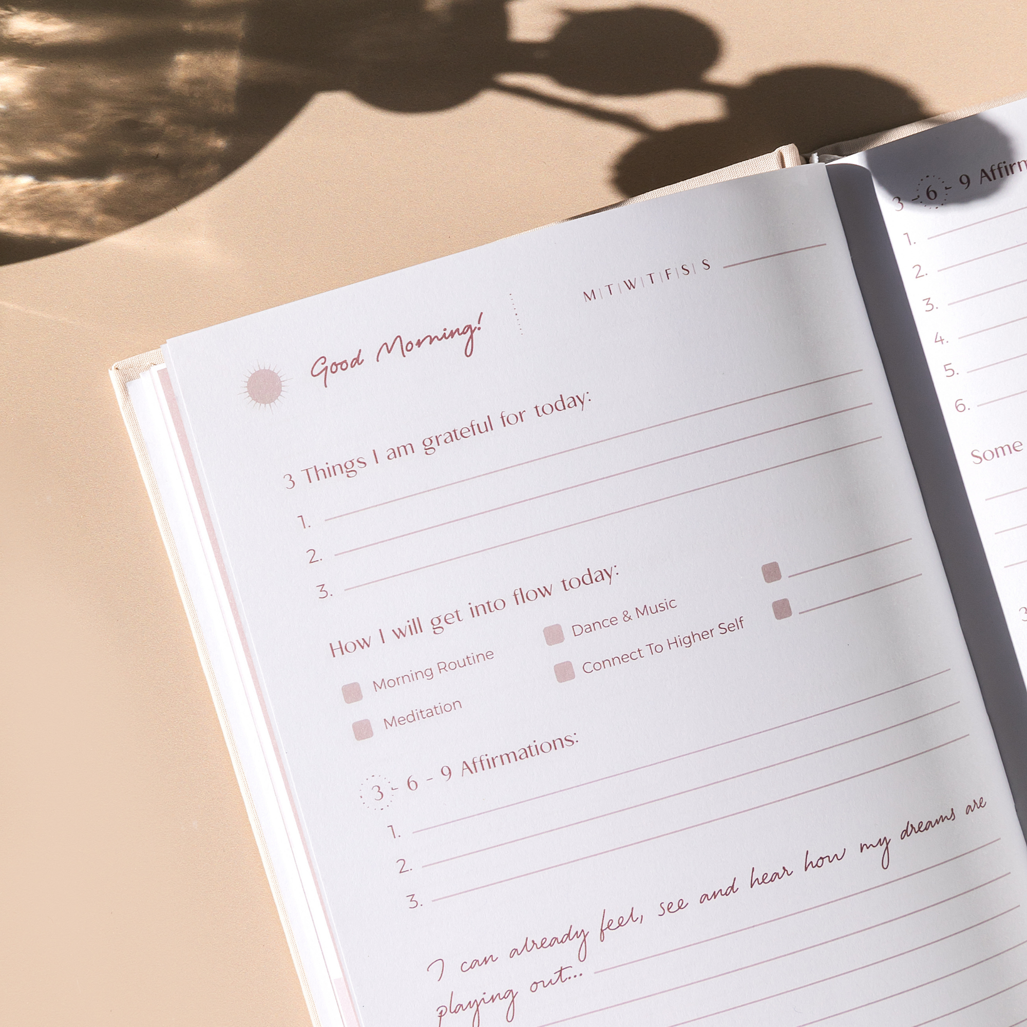 Manifestation Journal - Pink