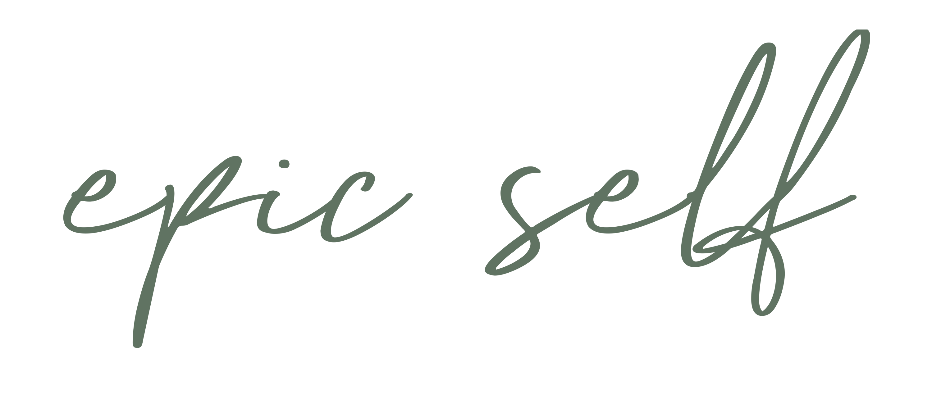 epic self LLC logo
